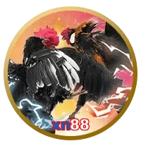 xn88
