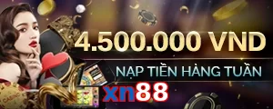 xn88